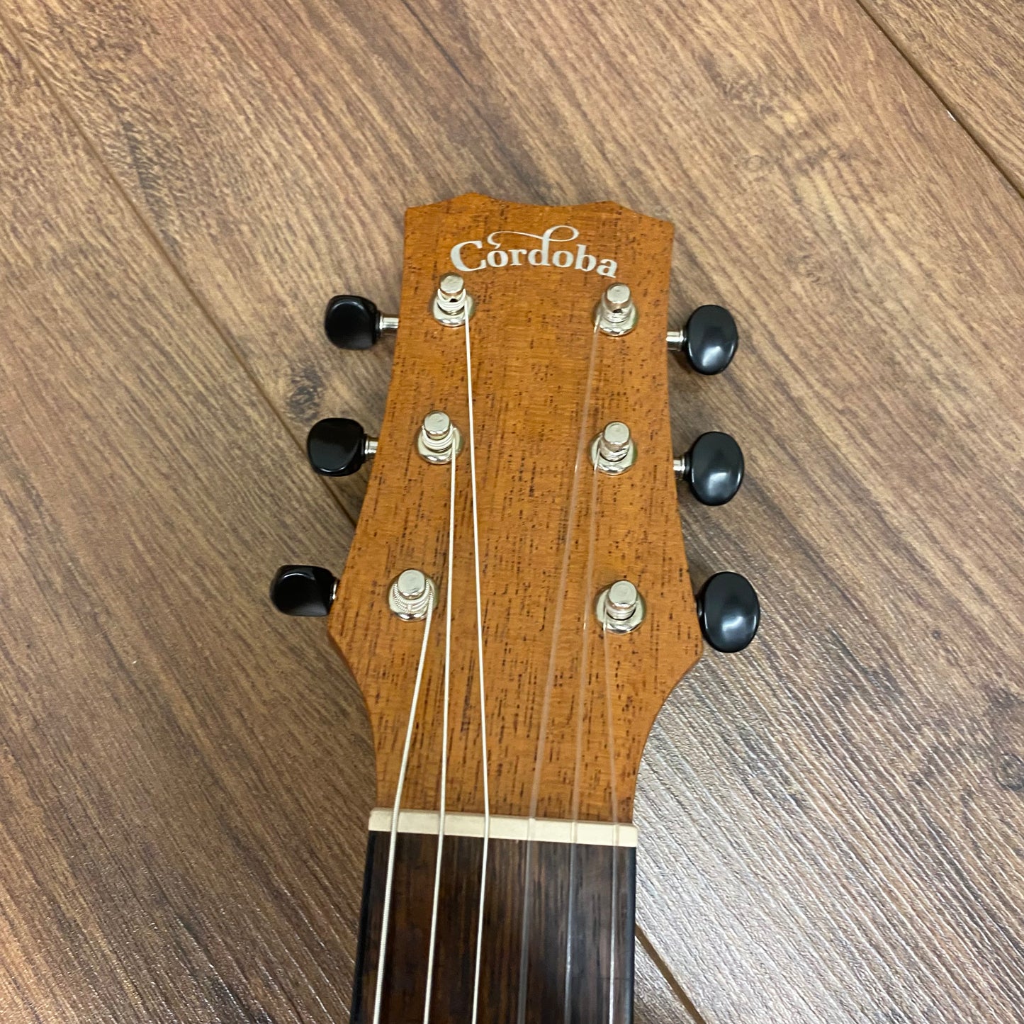Pre-Owned Cordoba Mini II Santa Fe - Reconstituted Turquoise Mahogany