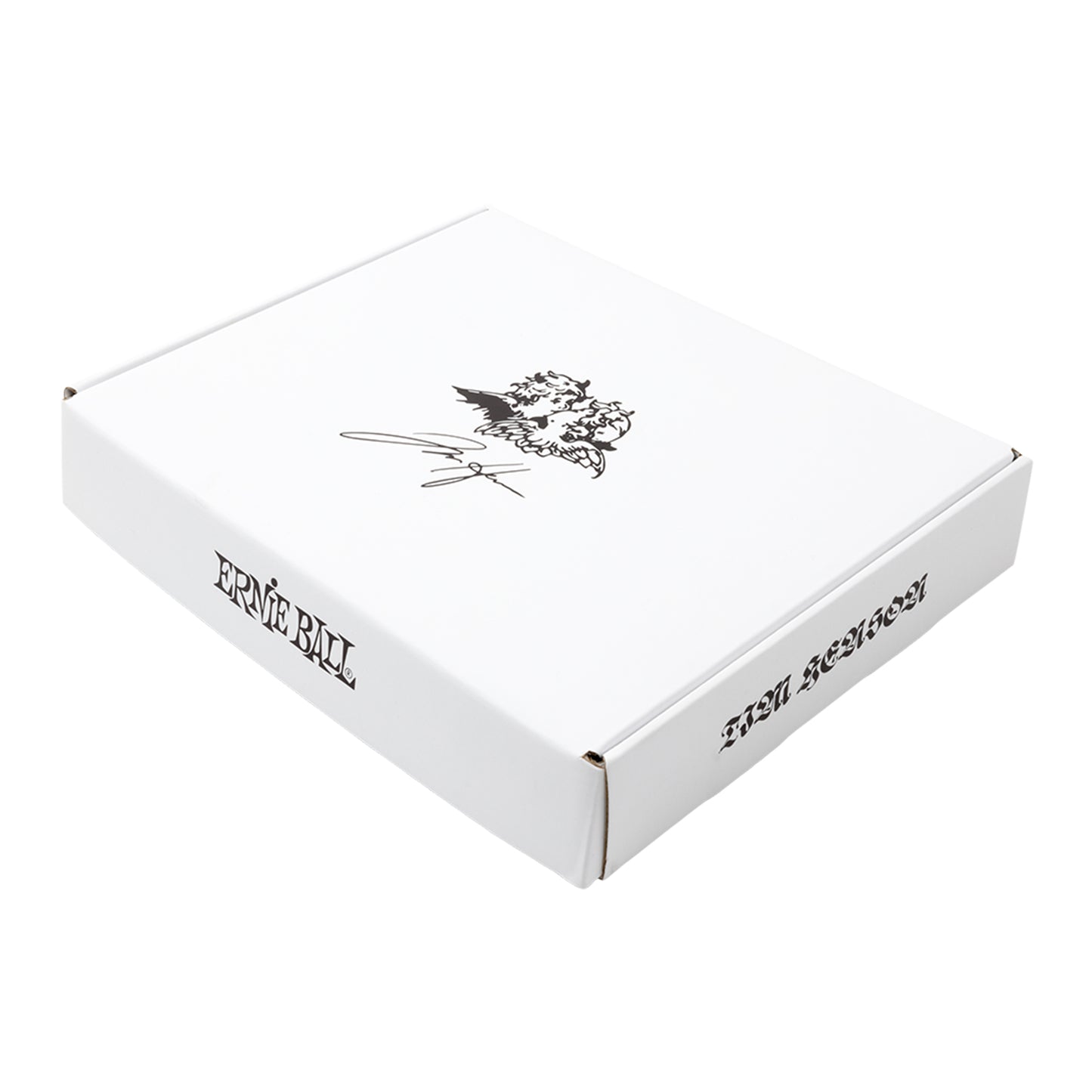 Ernie Ball Tim Henson Signature Bundle
