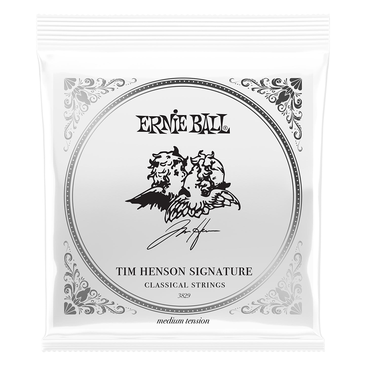 Ernie Ball Tim Henson Signature Bundle