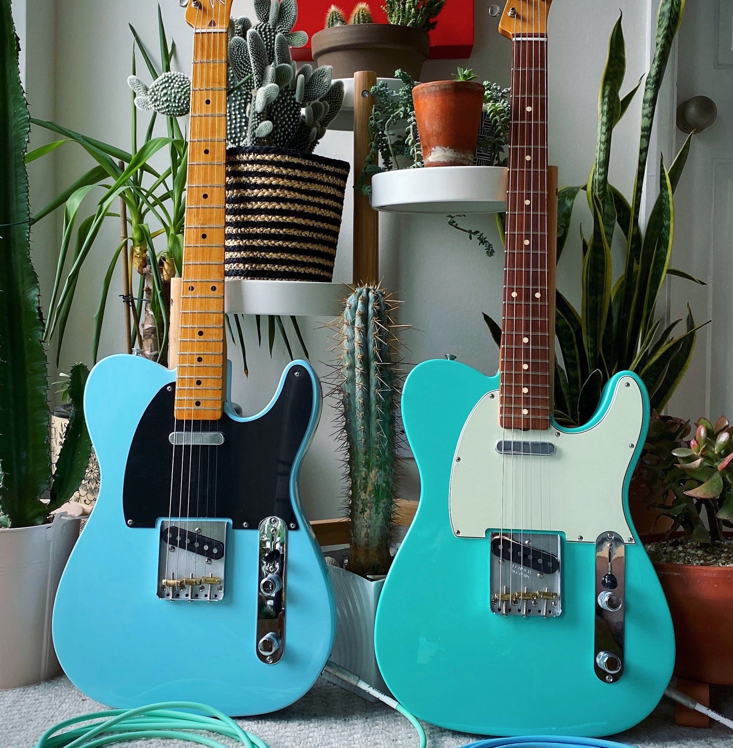 Electric Guitars