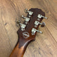 Pre-Owned Epiphone Limited Edition Les Paul Tribute Plus - Rainbow Prizm