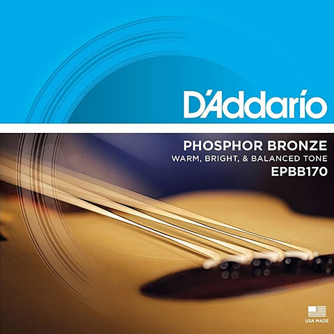 D'Addario EPBB170 Acoustic Bass Guitar Strings (.045 -.100) Regular Light - Long Scale